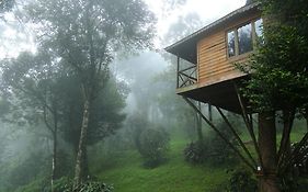 Nature Zone Resort Munnar - Tree House, Luxury Tents, Munnar